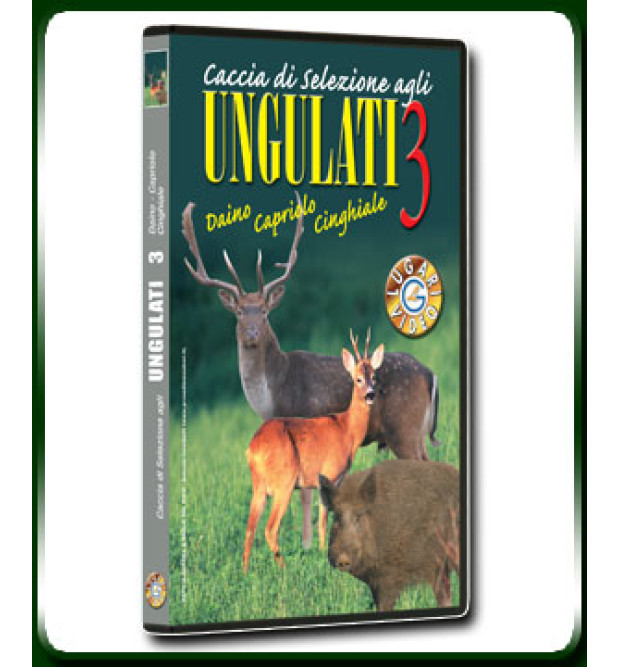 Caccia di selezione agli Ungulati 3