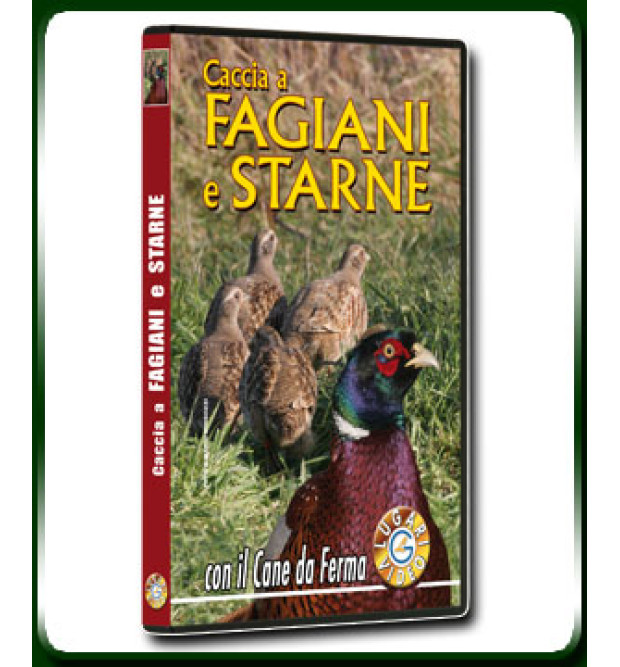 Caccia a fagiani e starne Caccia a fagiani e starne