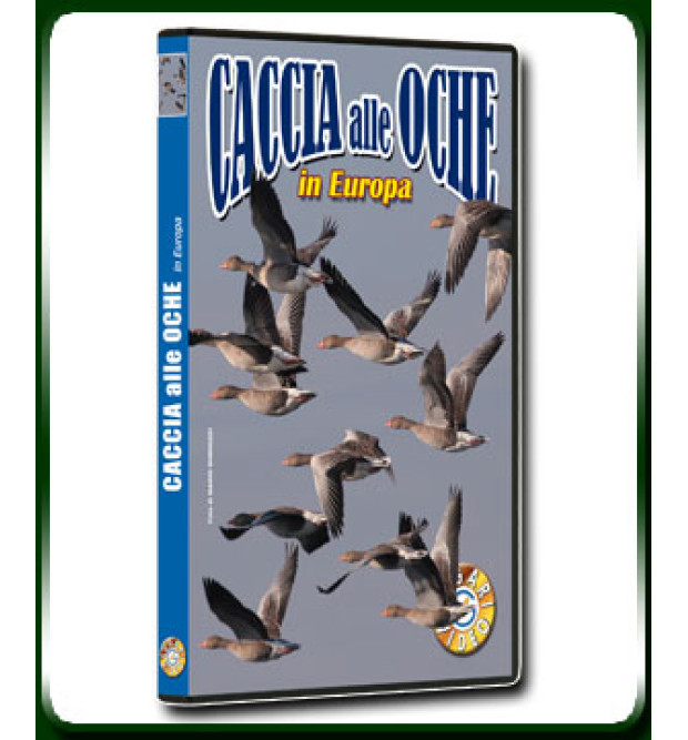 Caccia alle Oche in Europa Caccia alle Oche in Europa