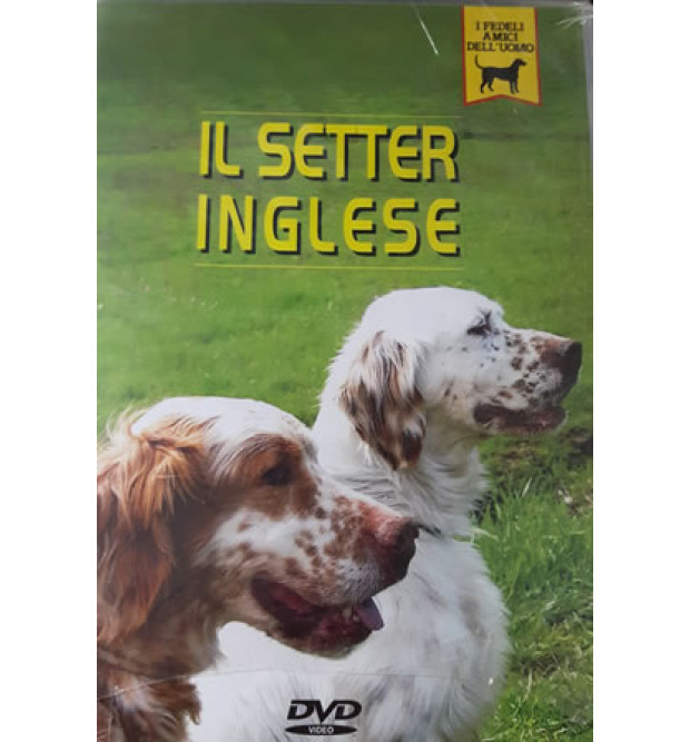Il setter inglese Il setter inglese