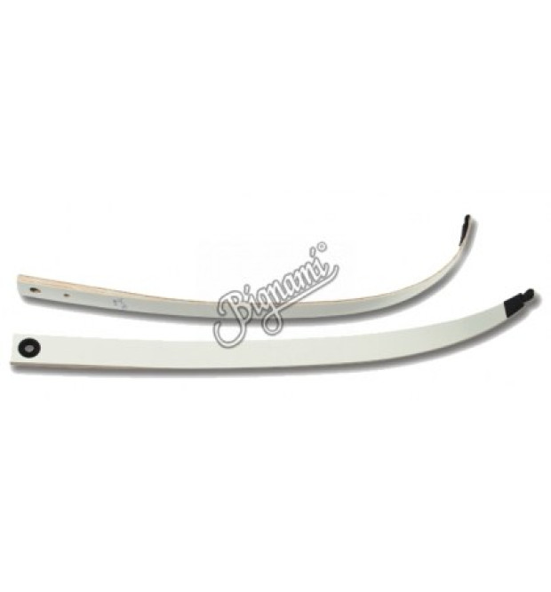 Big Archery Arco Scuola Raiser Evolution