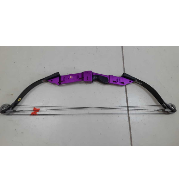 PSE LD-300 Infinity Graphite