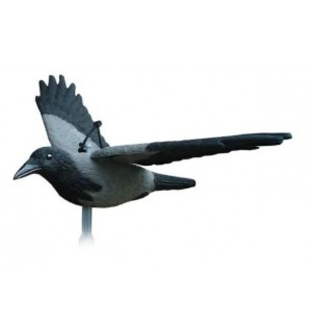 Sport Plast Cornacchia in volo