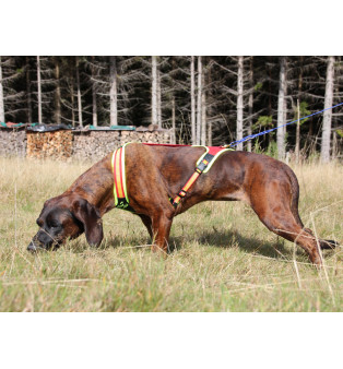 Niggeloh Pettorina Dog Follow Trail