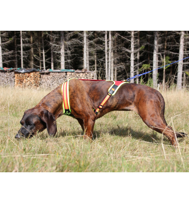 Niggeloh Pettorina Dog Follow Trail