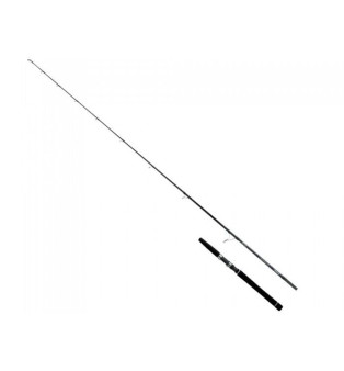 Daiwa Canna Saltist