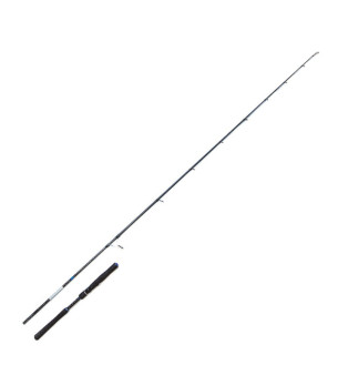 Favorite Creed SW Canna da Spinning e Saltwater