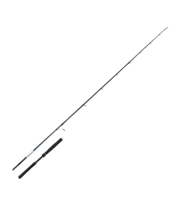 Favorite Creed SW Canna da Spinning e Saltwater