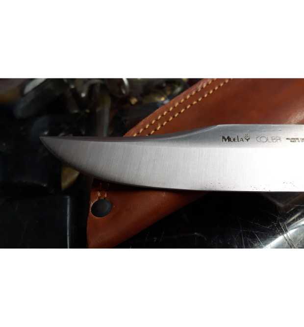 Muela Colibri lungo coltello da collezione