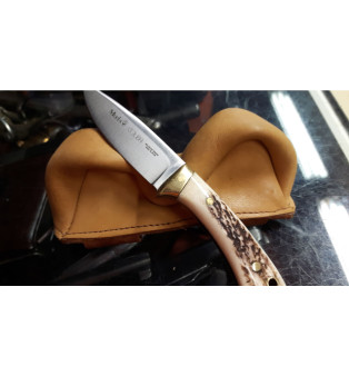 Muela Colibri coltello da collezione