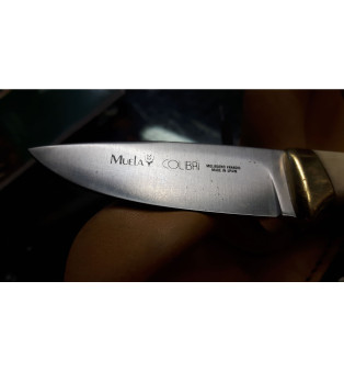 Muela Colibri coltello da collezione