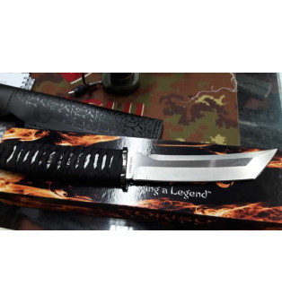 Tokisu Knives Coltello Hattori