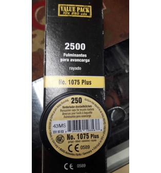 RWS Geco Inneschi da avancarica 