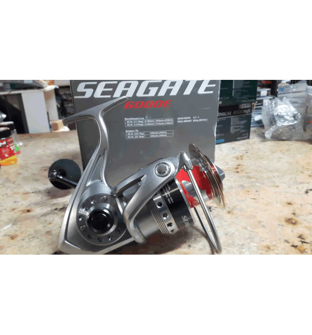 Daiwa Mulinello Seagate 6000