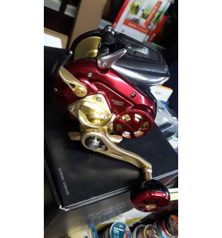 Daiwa Mulinello Seaborg 12MJ Elettrico