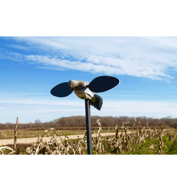 Mojo Outdoors Elite Series Dove