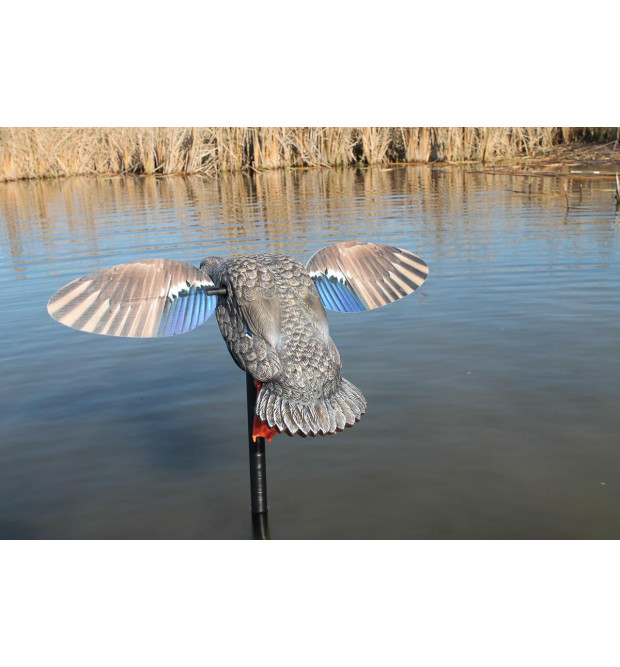 Mojo Outdoors Elite Series Mini Mallard Hen