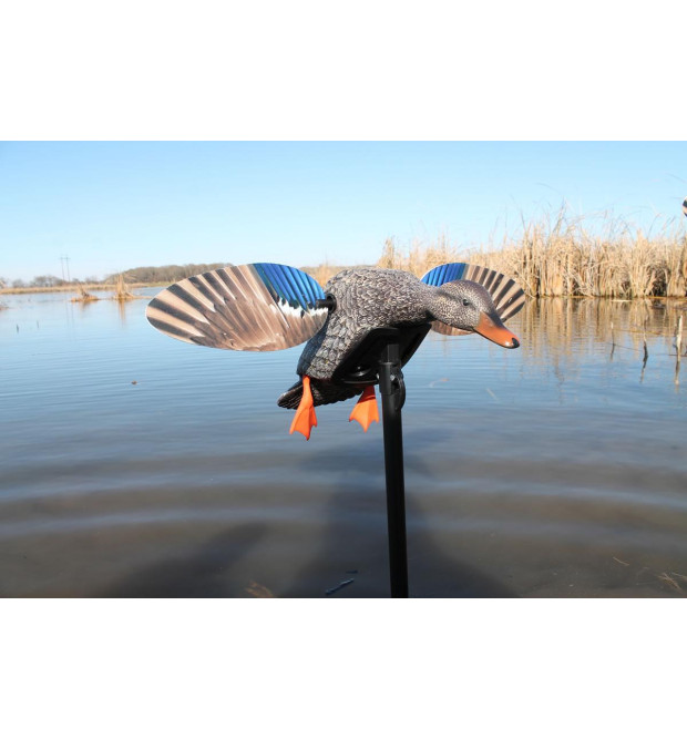 Mojo Outdoors Elite Series Mini Mallard Hen