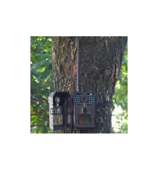 Numaxes Trail Camera fototrappola PIE1010 con MMS e Mail Numaxes Trail Camera fototrappola PIE1010 con MMS e Mail